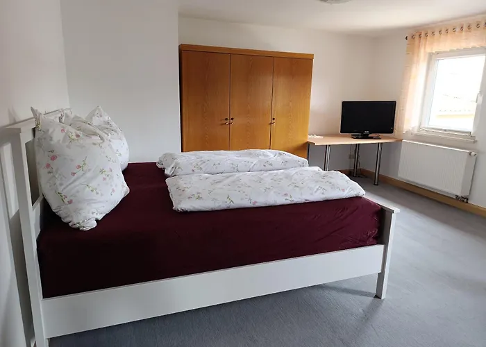 Zirbelkiefer 8 Bad Klosterlausnitz